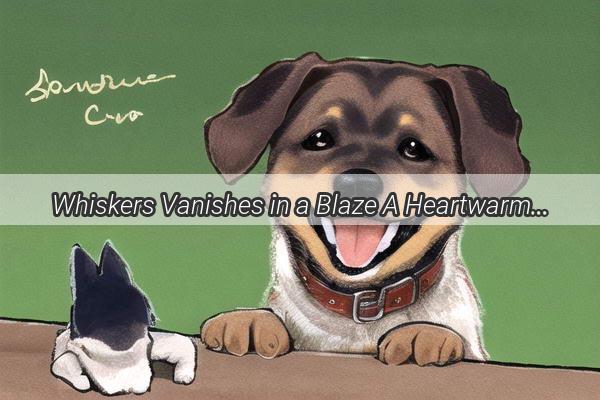 Whiskers Vanishes in a Blaze A Heartwarming Tale of a Dogs Mysterious Escape